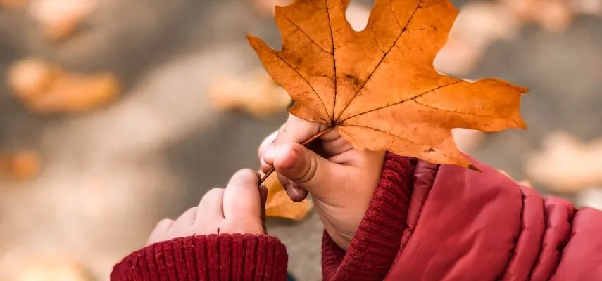 Comment réaliser des activités d’automne en crèche ?